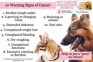 Warning-signs-of-cancer